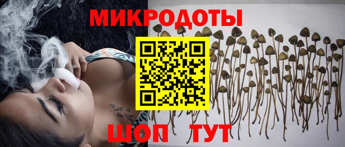 Алексеевка  где можно купить   Вход с VPN  Псилоцибиновые грибы MAGIC MUSHROOMS 