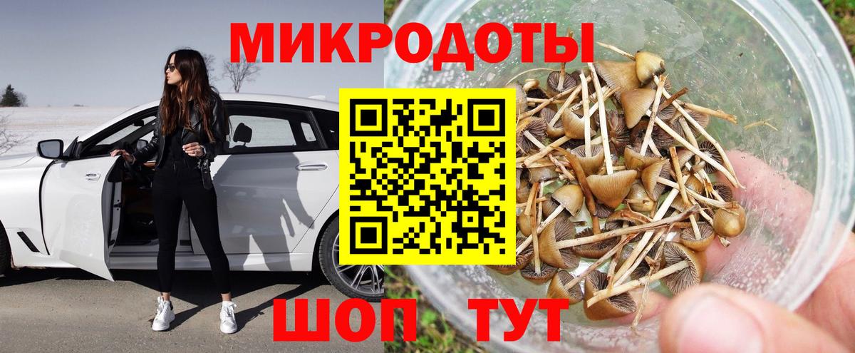 Галлюциногенные грибы прущие грибы Алексеевка